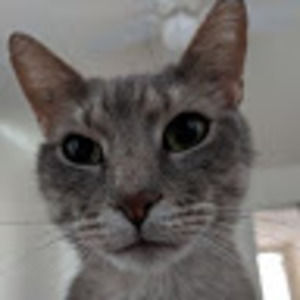 Meet your Posher, Kathryn